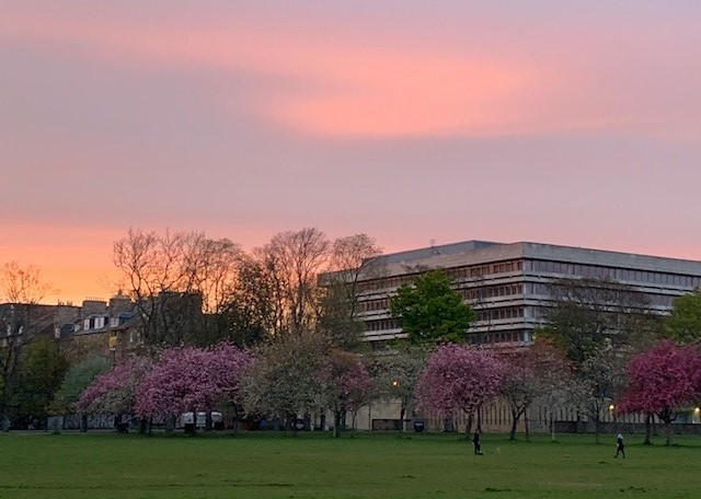 The Main Library viewed from The Meadows. Pink cherry blossom on trees surrounding the building and beautiful golden sky.