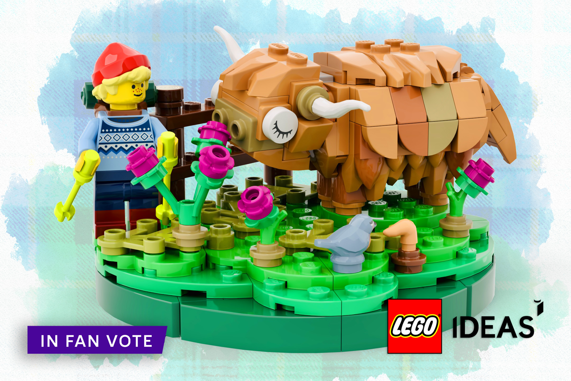 Flora the Heilan’ Coo